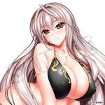 SAMPLE2