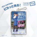 SAMPLE1