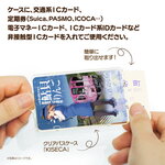 SAMPLE4