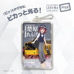SAMPLE1