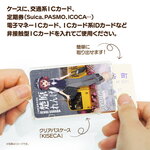SAMPLE4