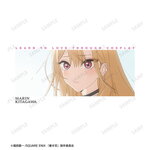 SAMPLE1