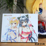 SAMPLE3