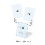 SAMPLE2