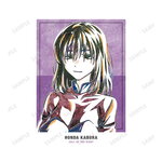 SAMPLE1