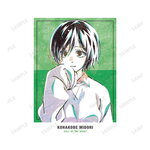 SAMPLE1