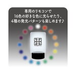 SAMPLE1