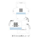 SAMPLE1