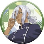 SAMPLE4