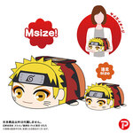 SAMPLE1