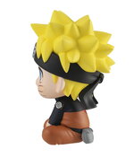 SAMPLE5