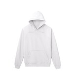 SAMPLE1