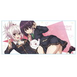 SAMPLE1