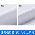 SAMPLE3