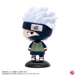SAMPLE1