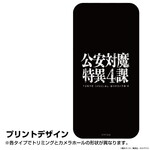 SAMPLE2