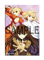 SAMPLE3