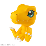SAMPLE1