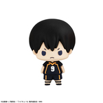 SAMPLE2