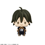 SAMPLE4