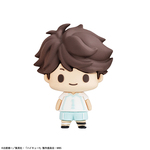 SAMPLE5