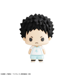 SAMPLE6