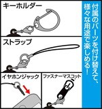 SAMPLE1