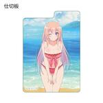 SAMPLE2