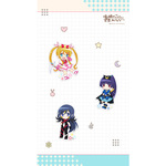 SAMPLE1