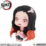 SAMPLE4