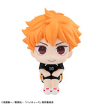 SAMPLE2