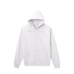 SAMPLE1