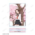 SAMPLE1
