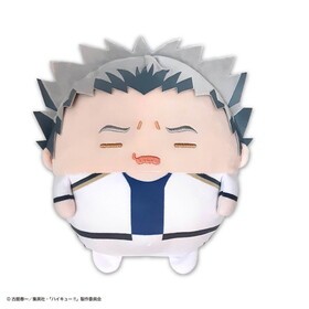ϥ塼!! դ拾Msizeڥ FƸϺ[] 