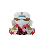 SAMPLE5
