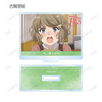 SAMPLE4