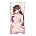 SAMPLE2