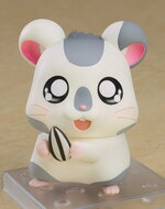 SAMPLE1