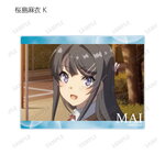 SAMPLE11