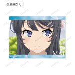 SAMPLE3