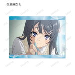 SAMPLE5