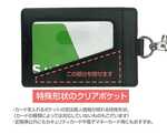 SAMPLE4