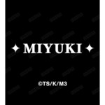 SAMPLE9