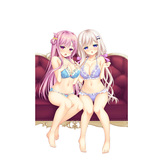 SAMPLE1