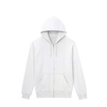 SAMPLE1