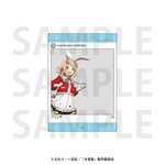SAMPLE2