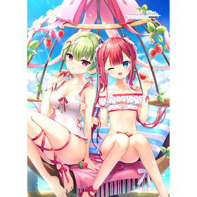 Summer Pockets REFLECTION BLUE B2ڥȥ꡼ʿ  ¼/ 
