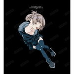 SAMPLE1