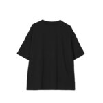 SAMPLE1