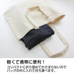 SAMPLE12